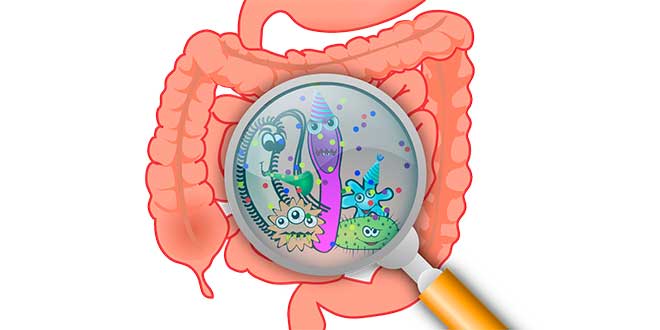 Test de sobrecrecimiento bacteriano